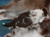cimg_6805