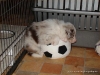 comp_dsc02502