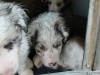 comp_dsc02505
