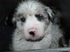 comp_dsc02506