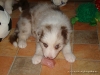 comp_dsc02510