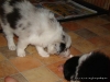 comp_dsc02511