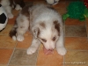 comp_dsc02512