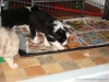 comp_dsc02516