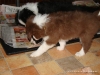 comp_dsc02517