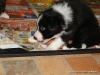 comp_dsc02520