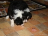 comp_dsc02523