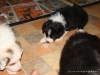 comp_dsc02524