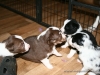 cIMG_1167