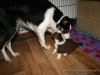 cIMG_1178