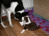 cIMG_1179
