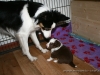 cIMG_1183