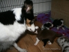 cIMG_1191