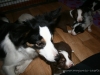 cIMG_1192