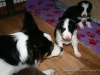 cIMG_1193