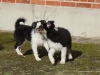 cimg_3068