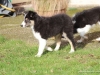 cimg_3070