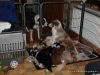 comp_dsc02528