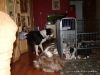 comp_dsc02529