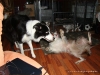 comp_dsc02531