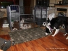 comp_dsc02535