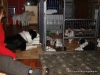 comp_dsc02540
