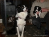 comp_dsc02546