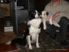 comp_dsc02550