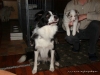 comp_dsc02556