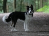 cIMG_0548