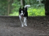 cIMG_0551