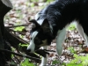 cIMG_0557