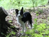 cIMG_0562