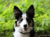 cIMG_0570