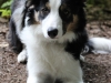 cIMG_0573