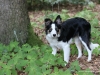 cIMG_0574