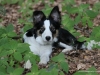 cIMG_0584