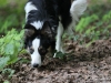 cIMG_0586