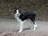 cIMG_0595