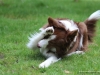 cIMG_0676