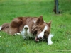 cIMG_0687