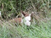 cimg_3837
