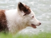 cimg_3875