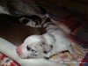 comp_dsc01192
