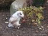 comp_dsc02702