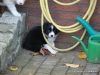 comp_dsc02704