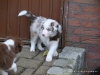 comp_dsc02705