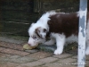comp_dsc02710