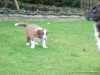 comp_dsc02713