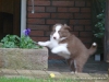 comp_dsc02715